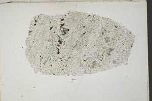 Plane Polarized, S42681