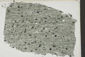 Plane Polarized, S42688