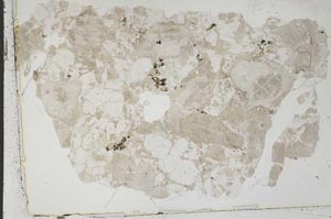 Plane Polarized, S42697