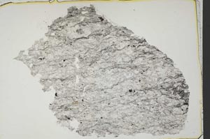 Plane Polarized, S42699