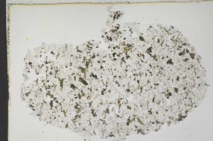 Plane Polarized, S42713