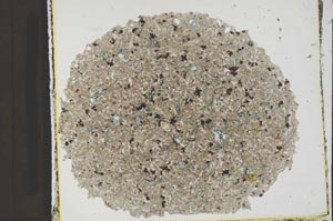 Plane Polarized, S42725