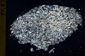 Cross Polarized, S42736