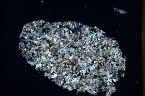 Cross Polarized, S42744