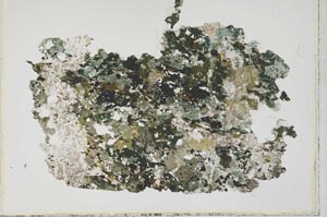 Plane Polarized, S42749