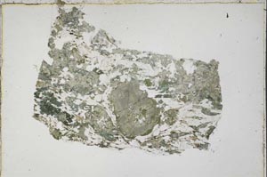 Plane Polarized, S42759