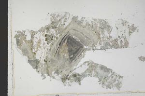 Plane Polarized, S42762