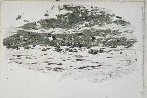 Plane Polarized, S42765