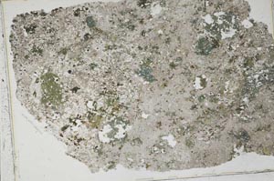 Plane Polarized, S42768