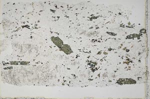 Plane Polarized, S42774