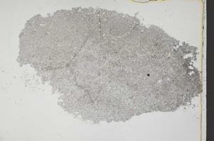 Plane Polarized, S42776