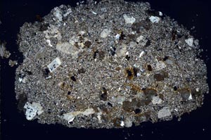 Cross Polarized, S42783