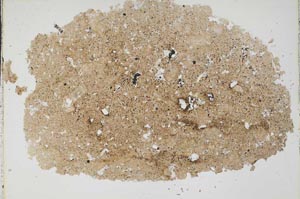 Plane Polarized, S42783