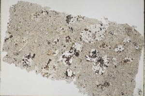 Plane Polarized, S42785