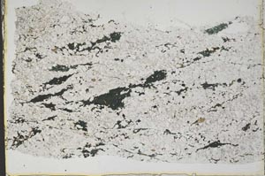 Plane Polarized, S42789