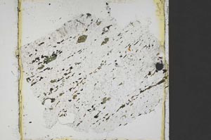 Plane Polarized, S42791