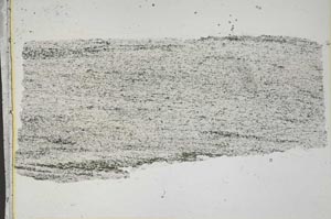 Plane Polarized, S42792