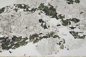 Plane Polarized, S42800