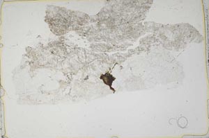 Plane Polarized, S42809