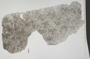 Plane Polarized, S42813