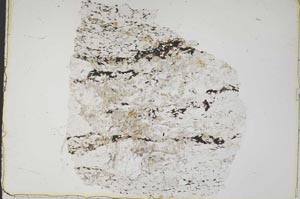 Plane Polarized, S42816