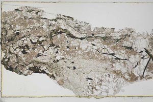 Plane Polarized, S42819