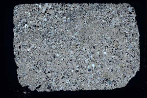 Cross Polarized, S42838
