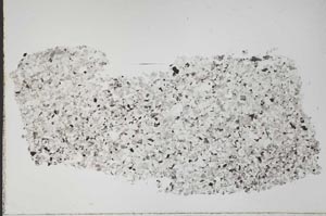 Plane Polarized, S42841