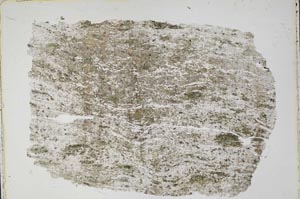 Plane Polarized, S42847