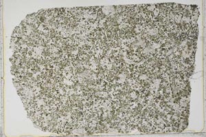 Plane Polarized, S42854