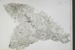 Plane Polarized, S42874