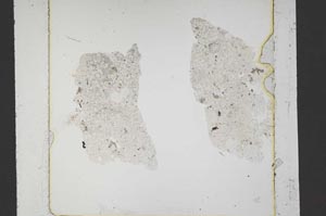 Plane Polarized, S42881