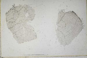 Plane Polarized, S42899