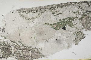 Plane Polarized, S42903