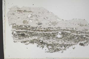 Plane Polarized, S42908
