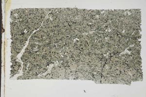 Plane Polarized, S42922