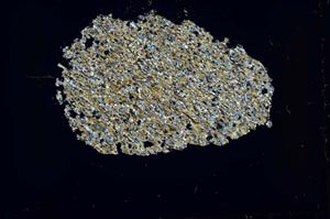 Cross Polarized, S42933