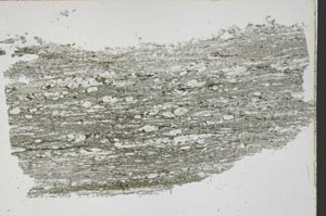 Plane Polarized, S43012