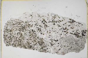 Plane Polarized, S43087