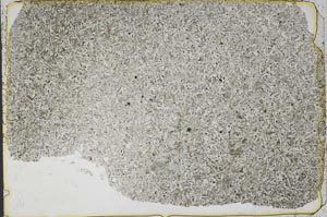 Plane Polarized, S43088