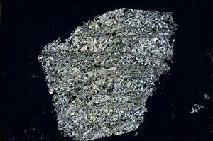 Cross Polarized, S43101