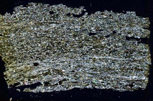 Cross Polarized, S43102