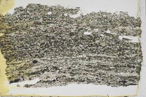 Plane Polarized, S43102