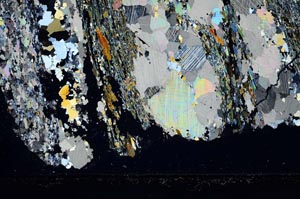 Cross Polarized, S43103