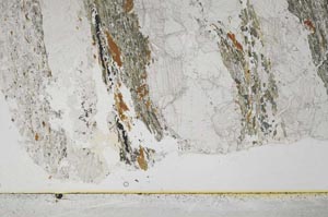 Plane Polarized, S43103