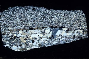 Cross Polarized, S43104