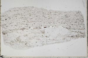 Plane Polarized, S43104