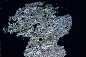 Cross Polarized, S43105