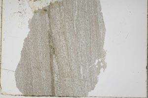 Plane Polarized, S43106