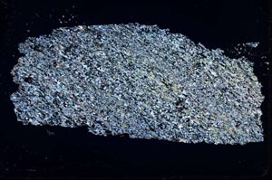 Cross Polarized, S43107